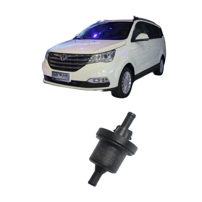 BAIC WEIWANG M35 306 307 M20 M30 205 206 M50F M35M60S50 Valvola solenoide del serbatoio di carbonio