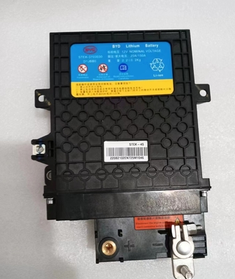 395*291*109mm Nero BYD Tang EV Starter Batteria in ferro STEK-3703030 per prestazioni