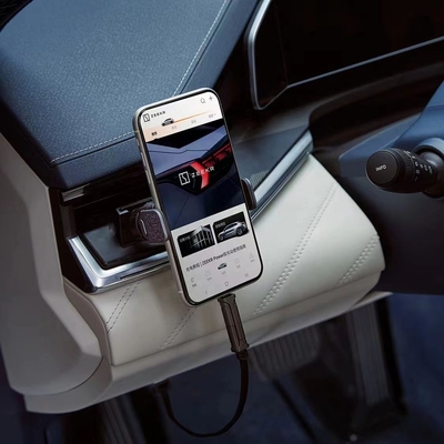 12-24v Compatibilità di tensione ZEEKR Polkrypton Car OBD Charger per veicoli ZEEKR