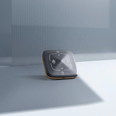Modi di spedizione DHL UPS EMS TNT Fedex Compatibile zeekr001 chiave Bluetooth con Assicurazione