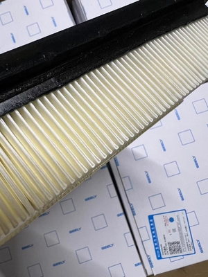 Geely Air Filter 6600131687 Spedizione originale da DHL TNT UPS EMS FEDEX per e Retail
