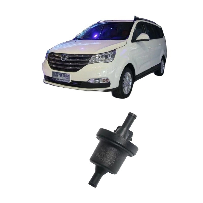 BAIC WEIWANG M35 306 307 M20 M30 205 206 M50F M35M60S50 Valvola solenoide del serbatoio di carbonio