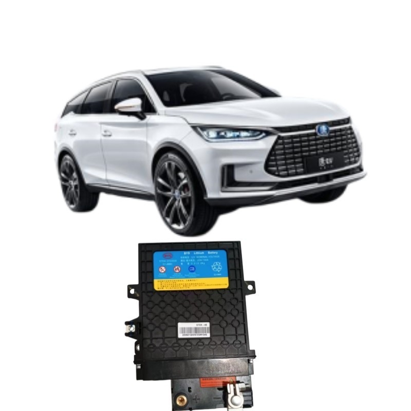 395*291*109mm Nero BYD Tang EV Starter Batteria in ferro STEK-3703030 per prestazioni