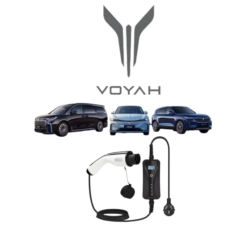 3/Y/S/X Plug-in Voyah Free EV Special Energy Charging Gun Pile Line per la ricarica delle auto