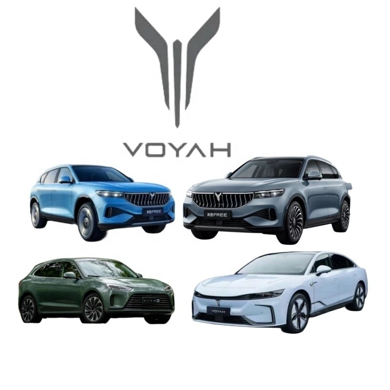 Aggiorna il tuo veicolo con VOYAH Dreamer Chasing Light Auto Parts a prezzi di vendita al dettaglio