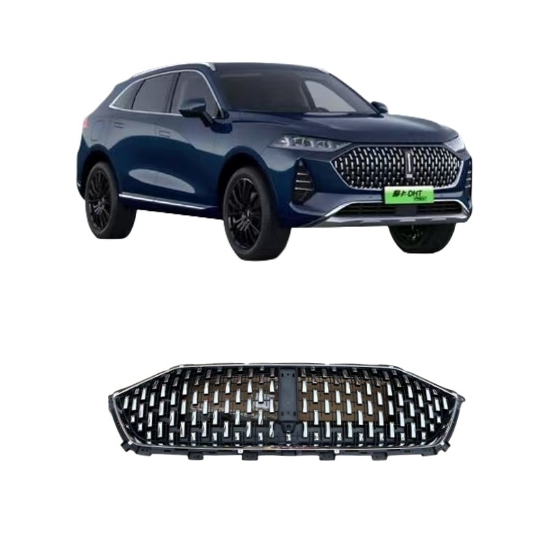 Grande Muro Wei Pai Moka Assemblaggio di griglia del radiatore anteriore con montatura per auto 5509203xvc01A
