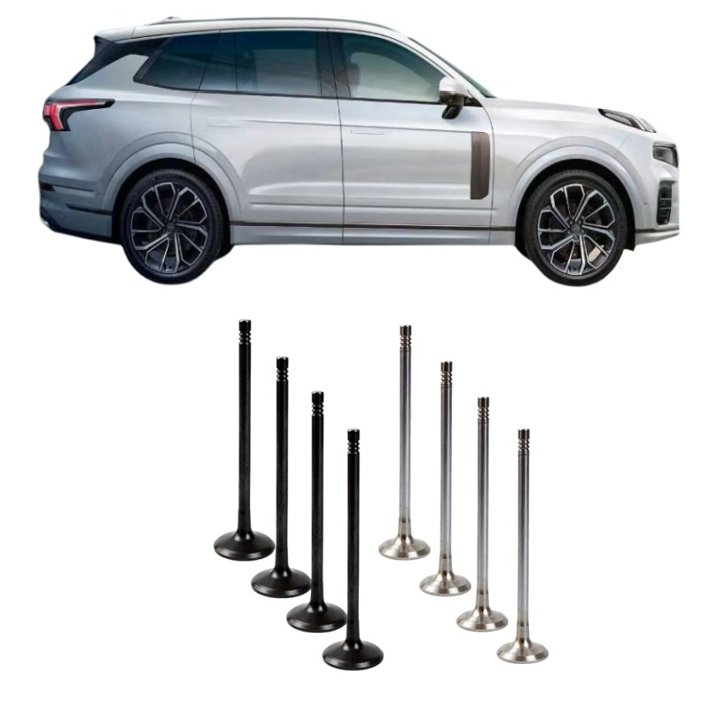 Componenti per autoveicoli cinesi Lynk Co Motore mheV Valvole di aspirazione e di scarico