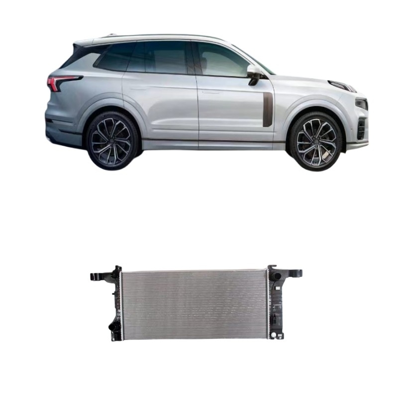 2019- Anno Lynk Co 01 02 03 Serbatoio dell'acqua del radiatore Ricambi per auto Ricambi originali per auto