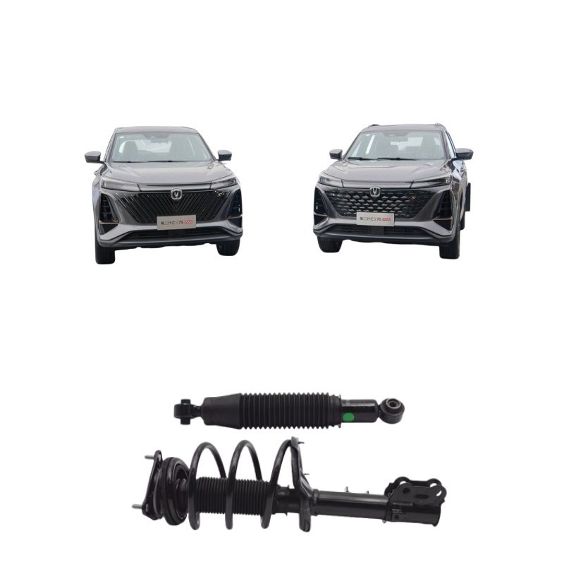 Changan CS75PLUS CS35 EADOCS55 ALSVINV7 CS15CX20 Assorbitori anteriori e posteriori per automobili