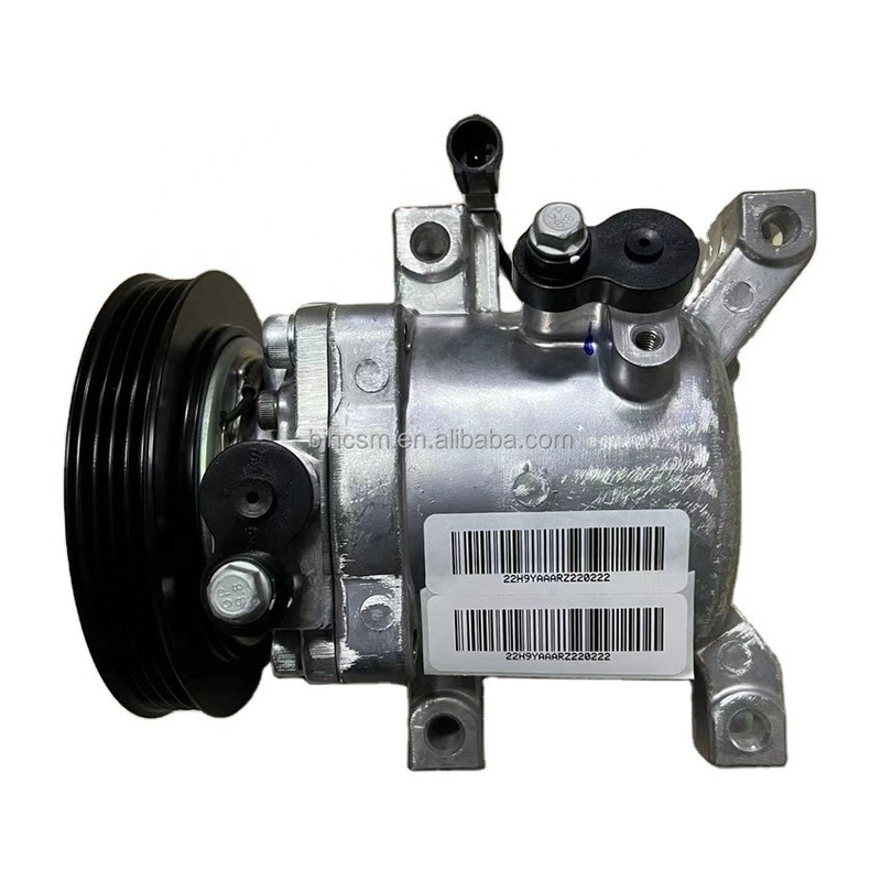 8103100-M18 8103200-S16 Auto Ac compressore per GWM Great Wall Motors Haval C30 / C50 / H6 / M2 / M4